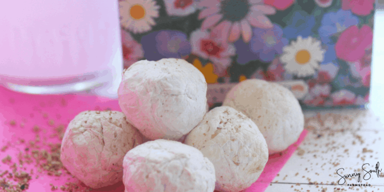 DIY Wildflower Seed Bombs