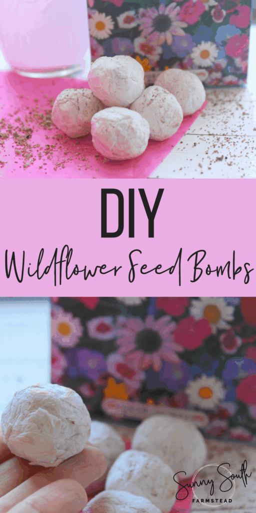 DIY Wildflower Seed Bombs