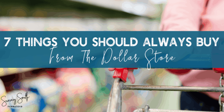 7 Things You Should Always Buy From The Dollar Store