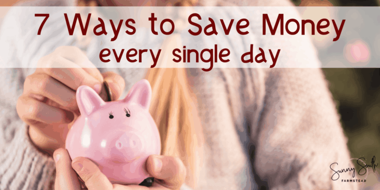 7 Ways to Save Money Every Single Day