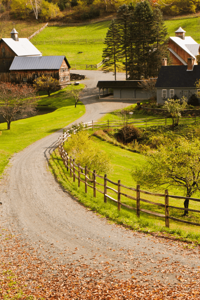 What Is Homesteading?