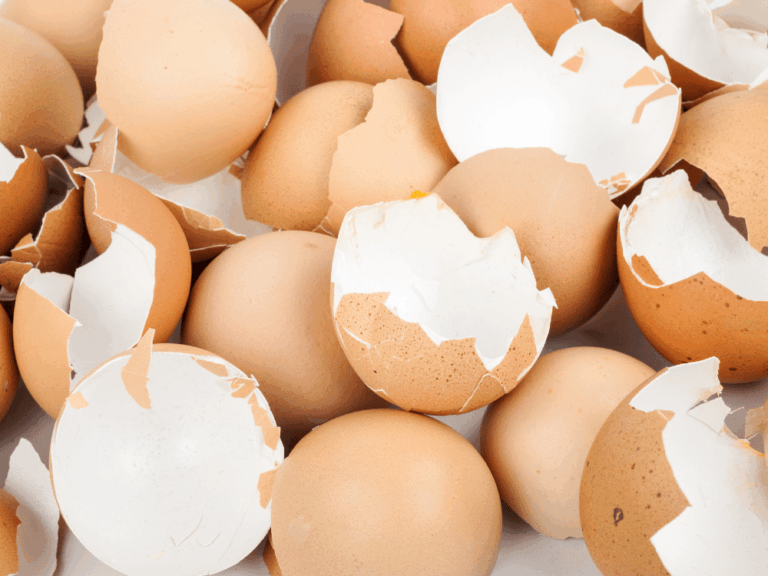8 Uses for Eggshells