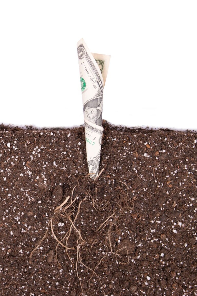 How to Build a Debt-Free Homestead