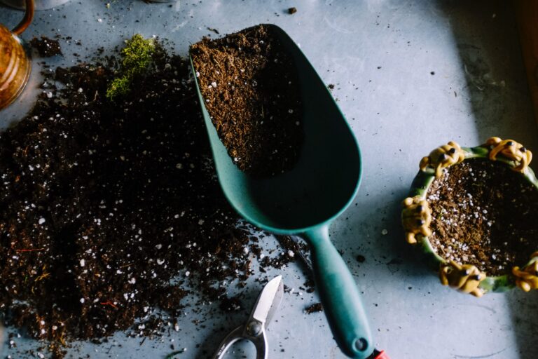 When to Fertilize Your Garden