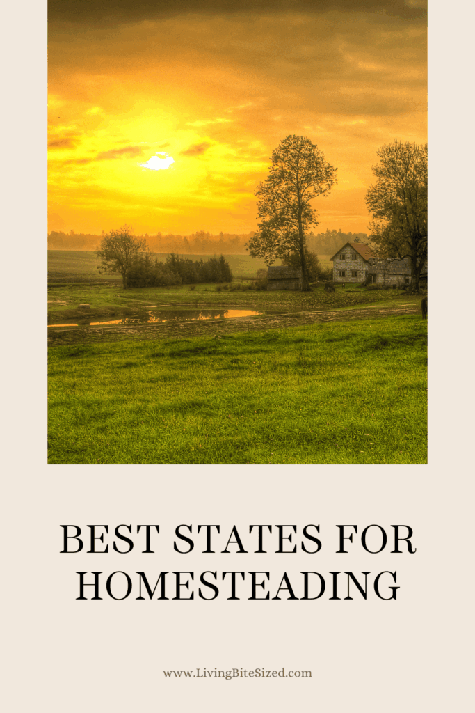 Pinterest pin showing a beautiful sunset with orange and yellow colors over a flat landscape with trees and a creek. A small, old, wooden house stand between two trees in front of a small farm. It is the only home for seemingly miles. Under the photo reads "Best States for Homesteading."