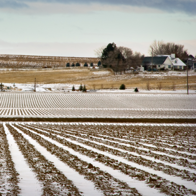 Winter Homesteading Activities