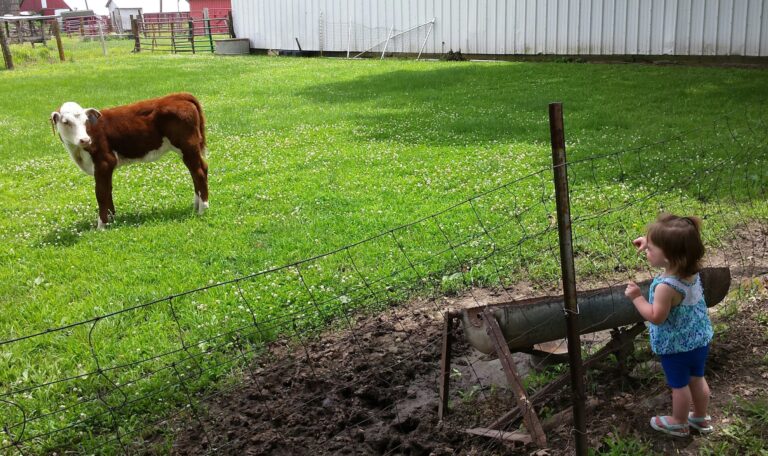 Why is Homesteading Becoming So Popular