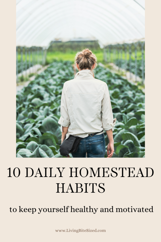 10 Daily Homestead Habits