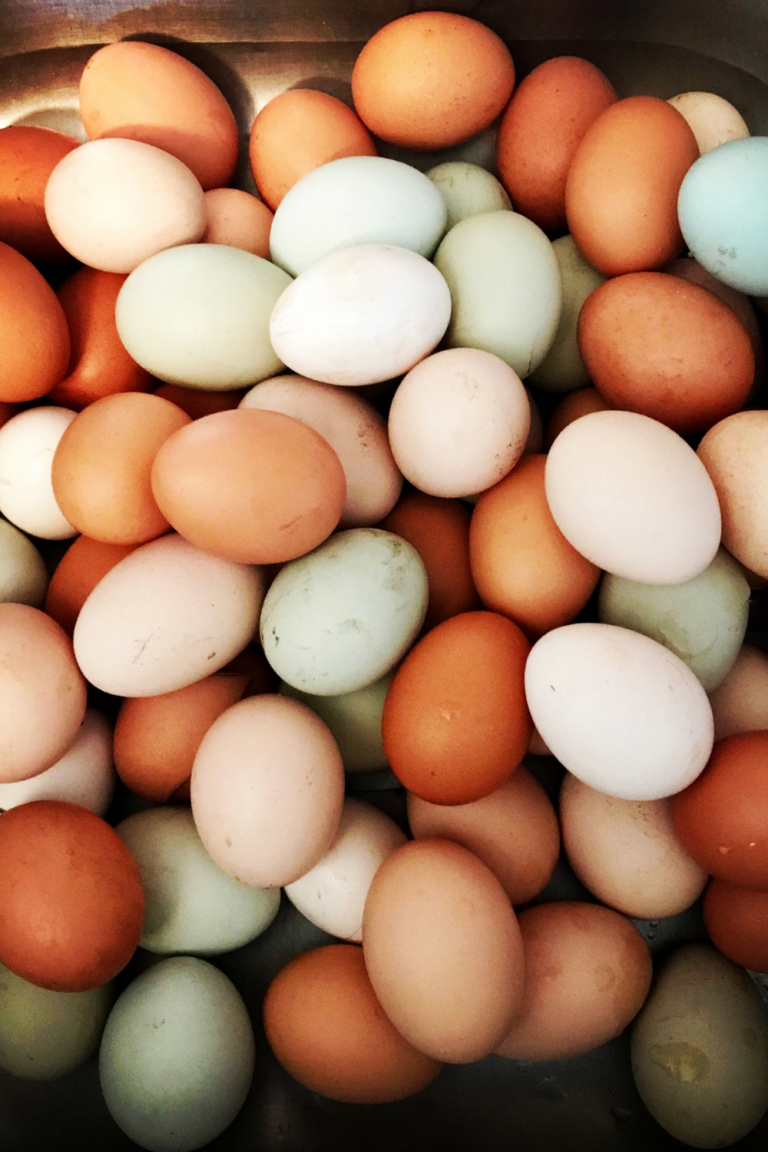 How To Preserve Fresh Eggs