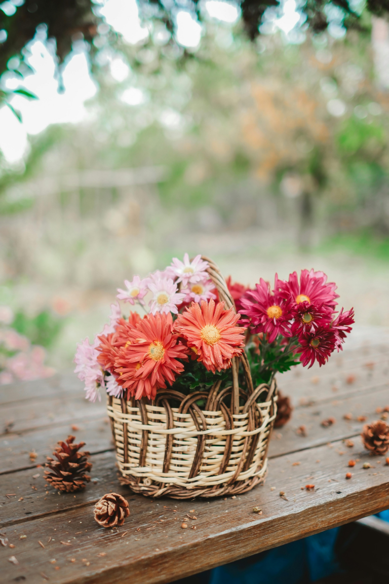 Summer on the Homestead: When Everything Happens at Once